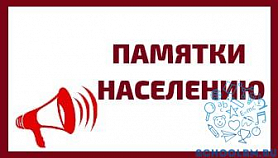 Памятка по обращению с домашними и безнадзорными животными.